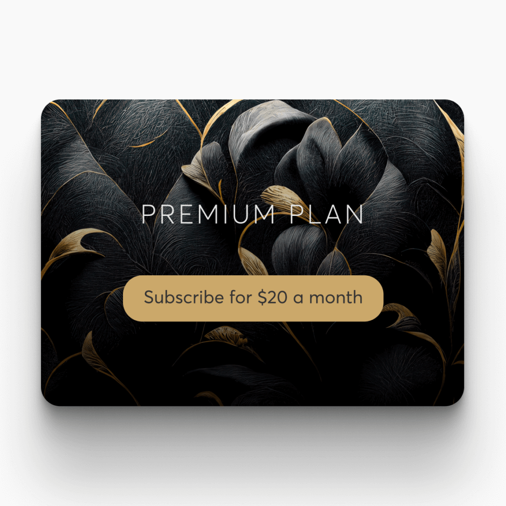 Subscription and bundle pricing interface with flexible payment options featuring a premium plan.